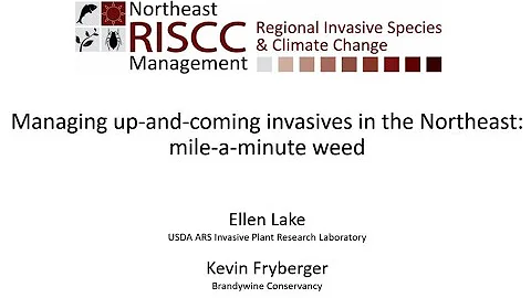 RISCC Webinar: Mile-a-minute, 26 October 2020, Lak...