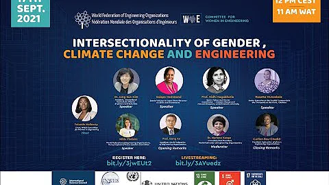 WFEO Committee on Women in Engineering (WIE) webin...