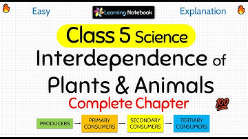 Interdependence of Plants and Animals (Complete Chapter)