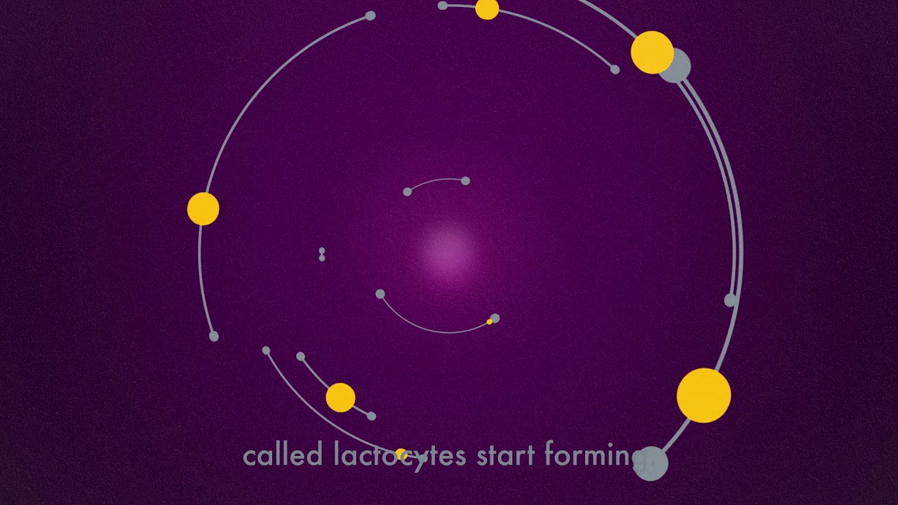 孕妇什么时候开始分泌母乳 Medela