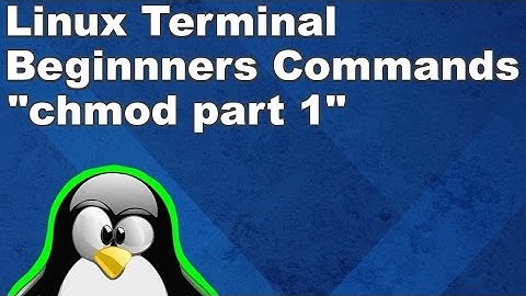 Linux Terminal for Beginners Commands 11: Changing Permissions with chmod part 1
