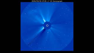 Combined LASCO Coronagraph Timelapse (Week of 2026/03/31)