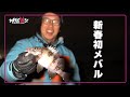 【2022年釣り初め 】新春初メバル。今年のメバルは吉か凶か。【地球遊び201】