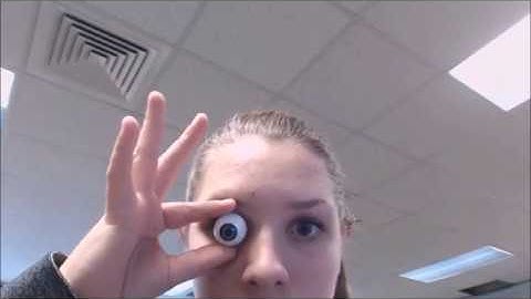 Iris Anti-Spoofing: Detecting Presentation Attacks