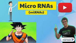 Micro RNAs miRNAs