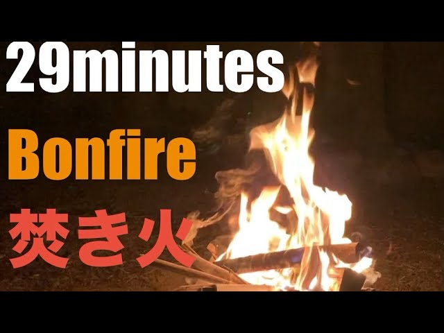 Bonfire   29minutes 【焚き火・癒し・ASMR・自然音】