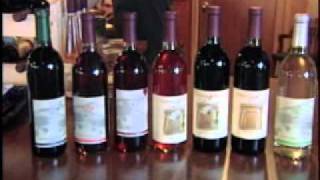 Savor Indiana - "Surprising Seymour" - Part 6 of 7 - Chateau de Pique Winery