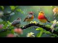 🌸 Relaxing Piano Music with Bird Sounds | Beautiful Nature Sounds for Deep Relaxation