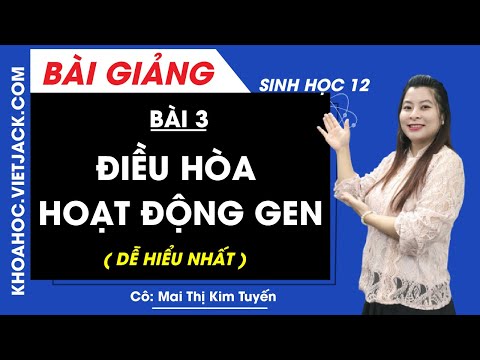 Video Điều hòa hoạt động gen - Bài 3 - Sinh học 12 - Cô Kim... - youtube