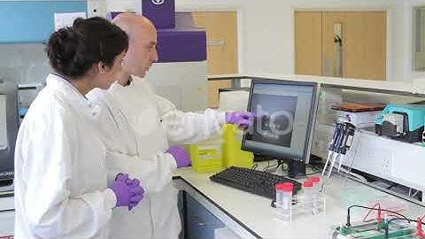 Two Scientist looking at DNA on computer screen | Stock Footage - Envato elements