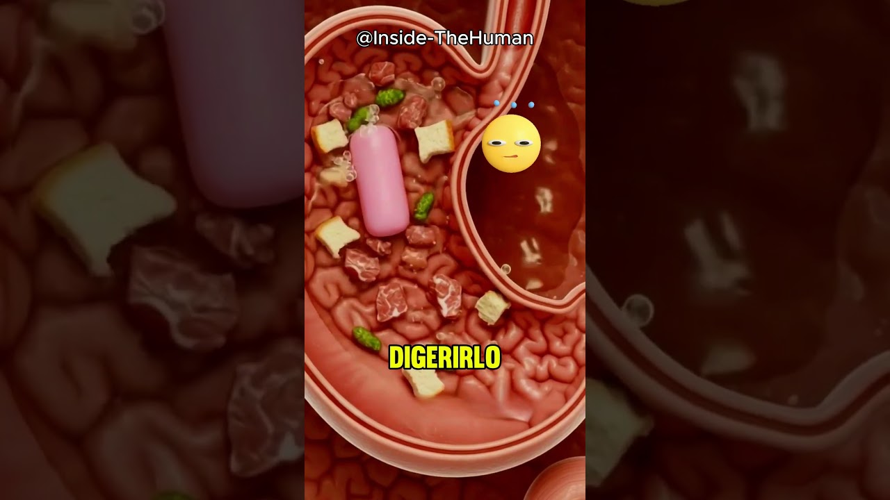 ¿Qué pasa si te tragas un chicle? 🤔🍬