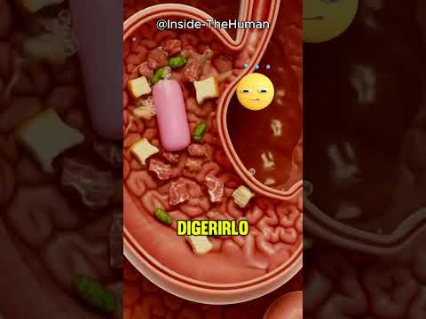 ¿Qué pasa si te tragas un chicle? 🤔🍬