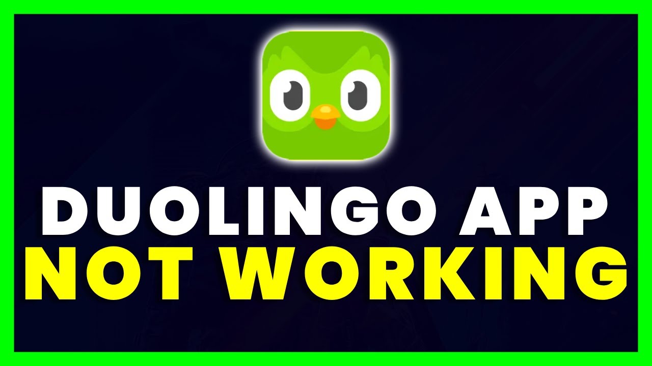 The story of DUOLINGO: The app that is taking the world by storm 🦉 