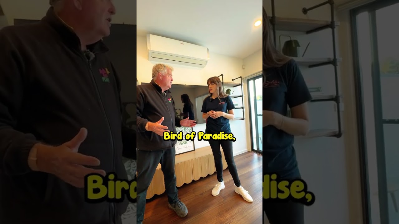 A Giant Bird of Paradise is One of the Toughest Indoor Plants.