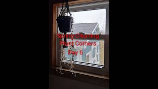 Spring Cleaning Plant Corners Day 6
