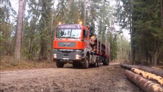 MAN TGA 26.480 6x6 - transport drewna :)