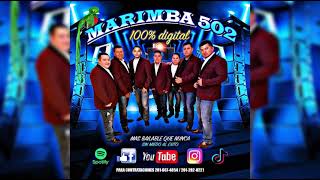 Marimba 502 Mi Lindo Cafetal Estreno Nuevo 2021