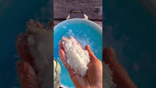Arctic Animals Frozen Sensory Bin Setup | FREE Polar Regions Coloring Book