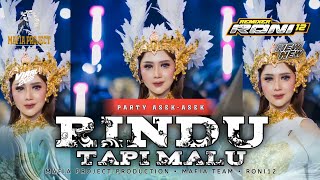 DJ RINDU TAPI MALU PARTY ASEK-ASEK  ||  MAFIA PROJECT PRODUCTION