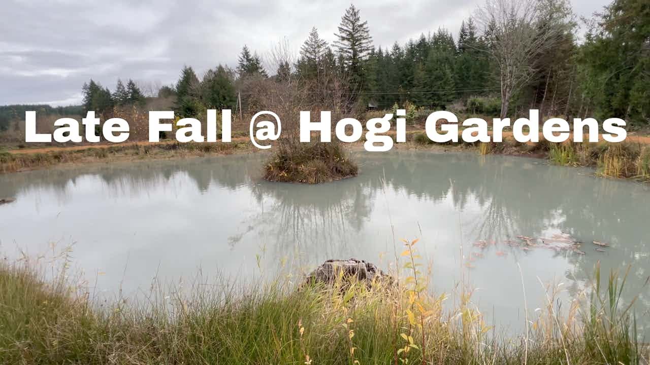 Hogi Gardens 