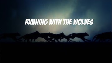 Wolves | After Effects