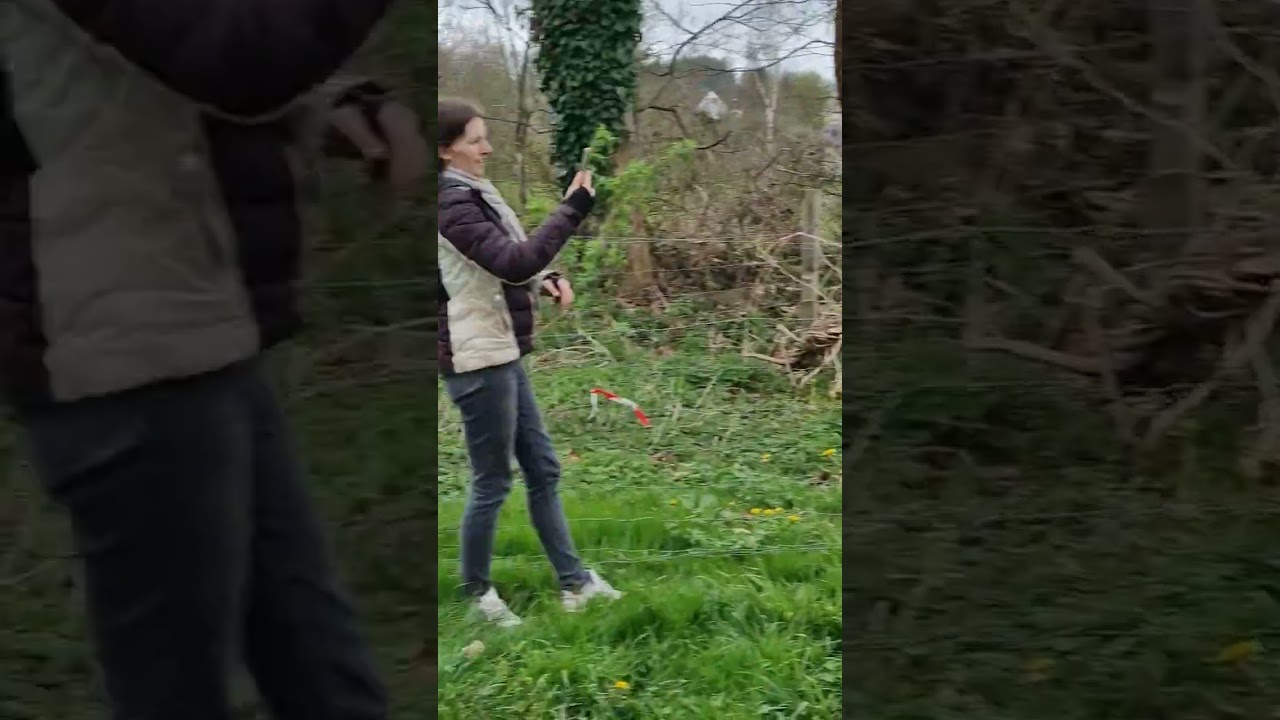 Endurance StHilaire 1