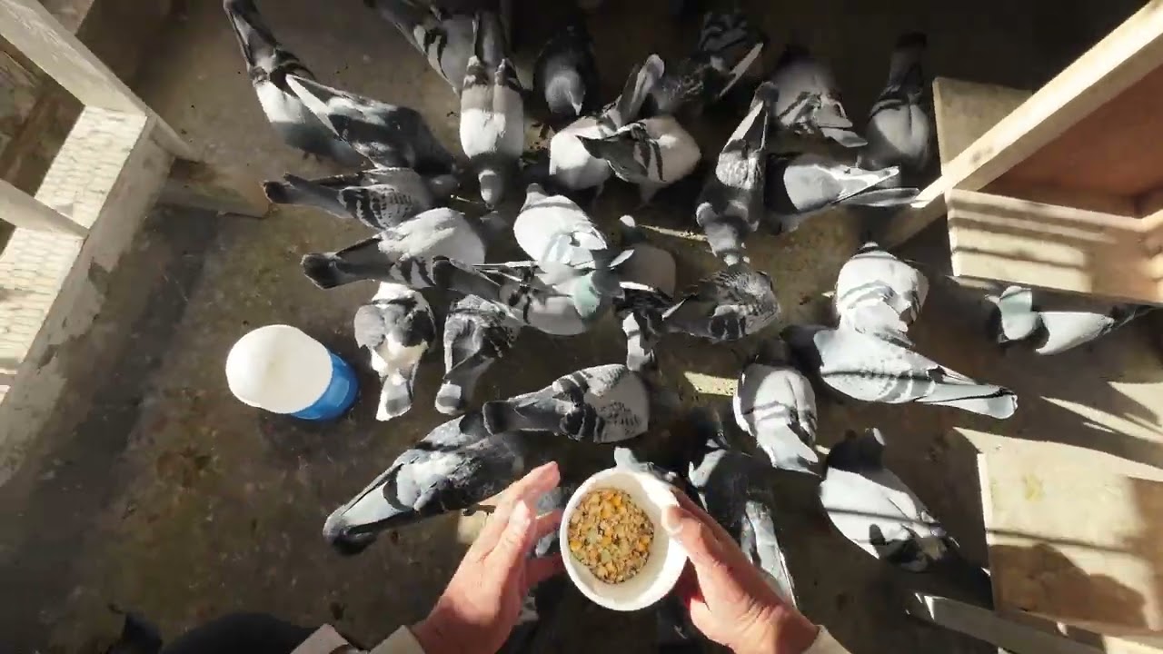 ありがとうございました