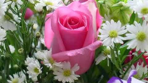 سورة الزخرف للشيخ رضا عبد العظيم