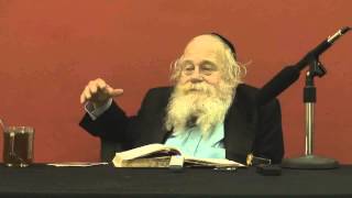 דרך מצותיך - 17.06.10, 'להבין ענייין פסח ומצה' אות ז', עמ' 348.