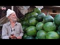 نصائح من بائعي البطيخ ازاي تختار البطيخة 