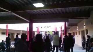 Ziruela - Tim Fest 2015