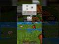 woo-wee pig! #minecraft #gaming #nintendo #nintendoswitch #nintendoswitch2 #coop #2player