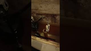 New High water bill ? #1 Reason Toilet Leaking ! 1 min video tells all. #gregsanswers  #diy #hack