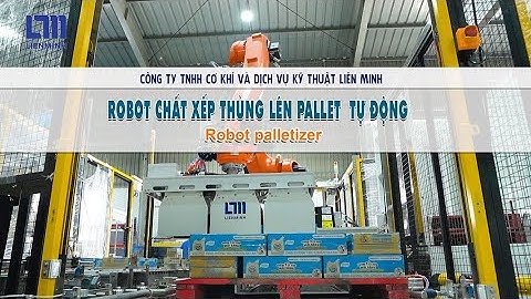 Hệ Thống Robot Xếp Thùng Lên Pallet Tự Động  Robot Palletizer