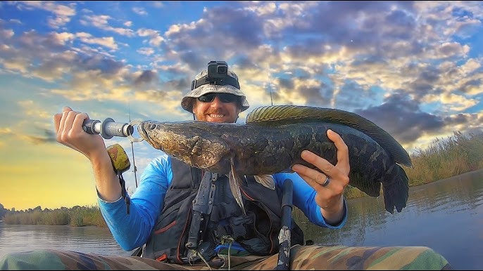 Northern SNAKEHEAD: How to Fish Thick Grass for Maryland MONSTERS