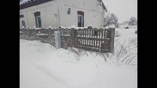 Wielka Zbiórka Z Nagrodami Futrzak4415 I Deno1989.