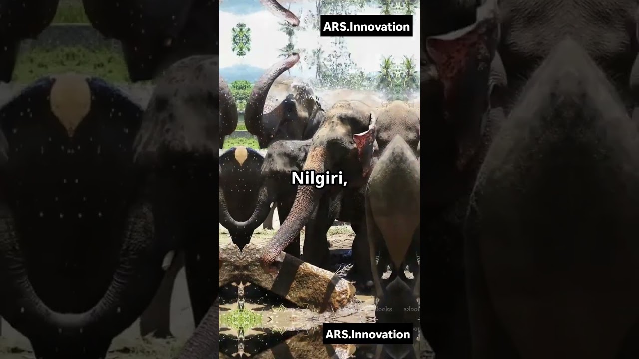 Elephant Reserves in India Explained | Project Elephant | UPSC Environment | Prelims & Mains