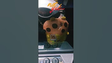 UFO Catcher Win At Round 1! #arcade #bigwin #shorts #clawmachine #cranemachine