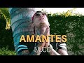 Nuco  amantes  oficial