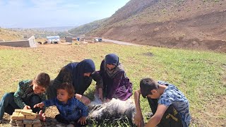 Finishing the canopy:😢 incidents and casualties in livestock farming and hard life