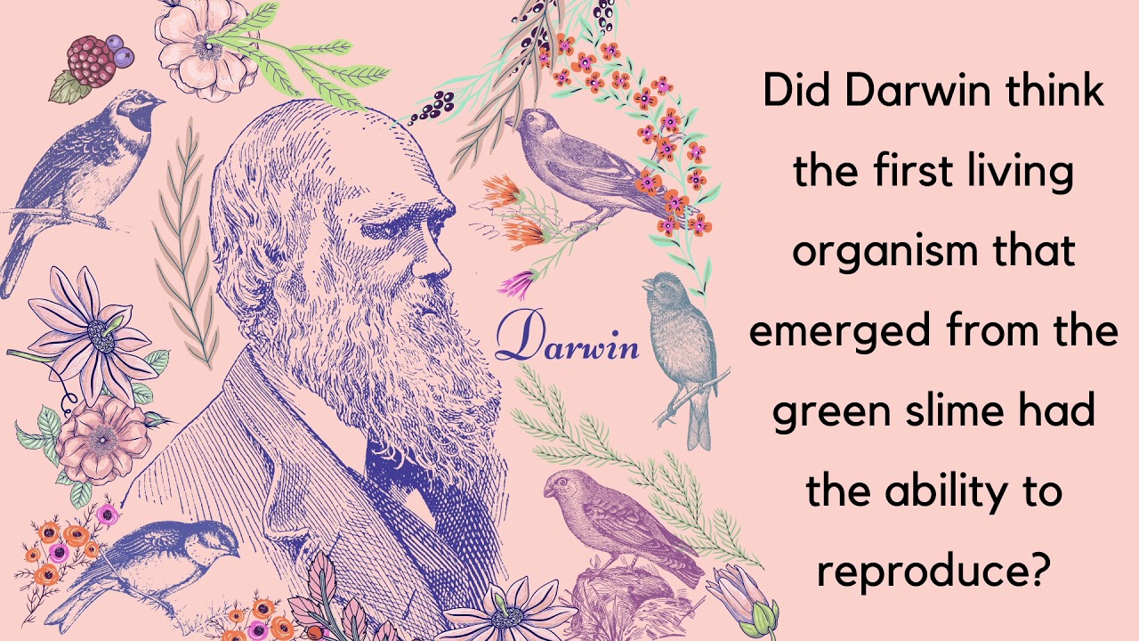 Did Darwin think the first living organism that emerged from green slime could reproduce?