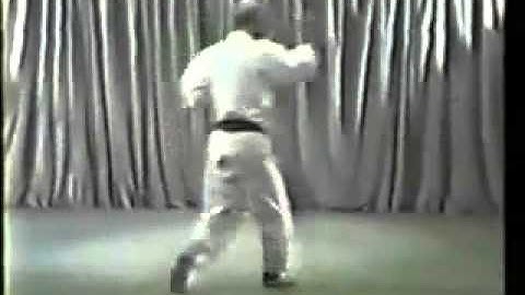 4. Wado Ryu Karate Kata Pinan Yondan - Tatsuo Suzuki