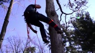 Why Choose the Urban Forestry Technician Program at Mid-State Technical College?