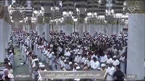 صلاة الفجر المسجد النبوي الشيخ محمد برهجي سورة الملك كاملة الأربعاء 5 صفر 1447هـ.