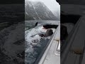 HUNTED IN THE FJORD LAST SECOND ESCAPE