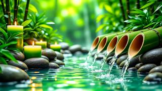 Relaxing Music Relieves Stress, Anxiety and Depression 🌿 Heals the Body and Soul 😴 Deep Sleep