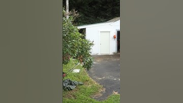 Garage expansion. New full video. #shorts #youtube #garagemakeover