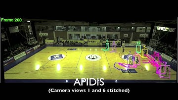 Discriminative Label Propagation for Multi-Object Tracking with Sporadic Appearance Features