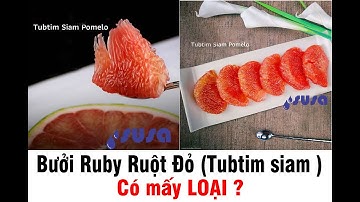 Bưởi ruby ruột đỏ ❤  " Có Mấy Loại ? " ❤