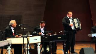 Video thumbnail of "Nicolae Feraru and his Romanian Gypsy Band - "Hora lui Sile" (feat. Sile Dorel, accordion)"